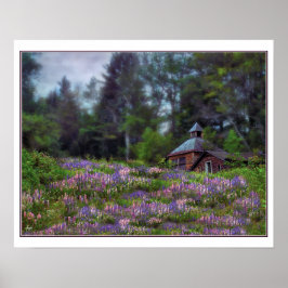 Kabin i Lupine-Poster Poster