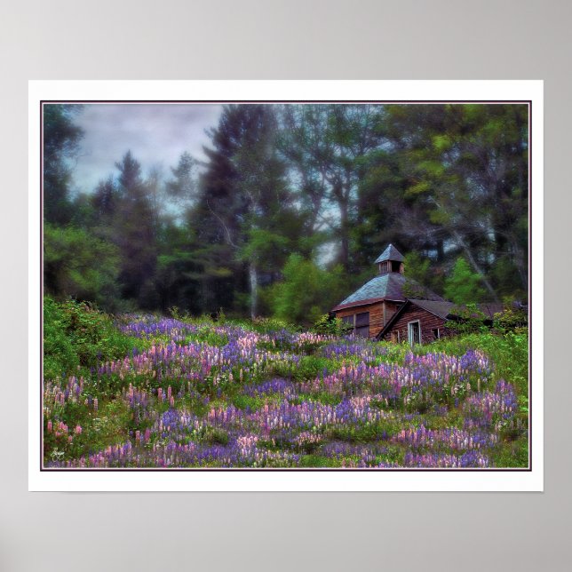 Kabin i Lupine-Poster Poster (Framsidan)