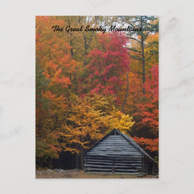 Kabin i Skogen Vykort (Framsida)