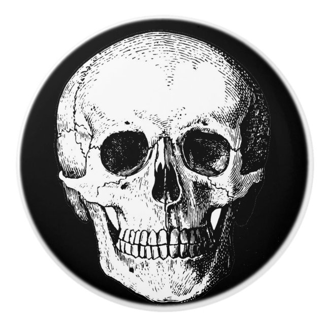 Kabinett skalle/möblemangknoppar knopp (Framsidan)