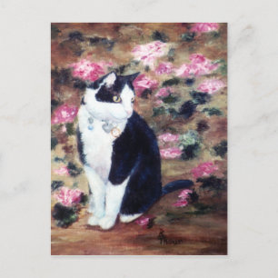 Kaboodles Cat vykort