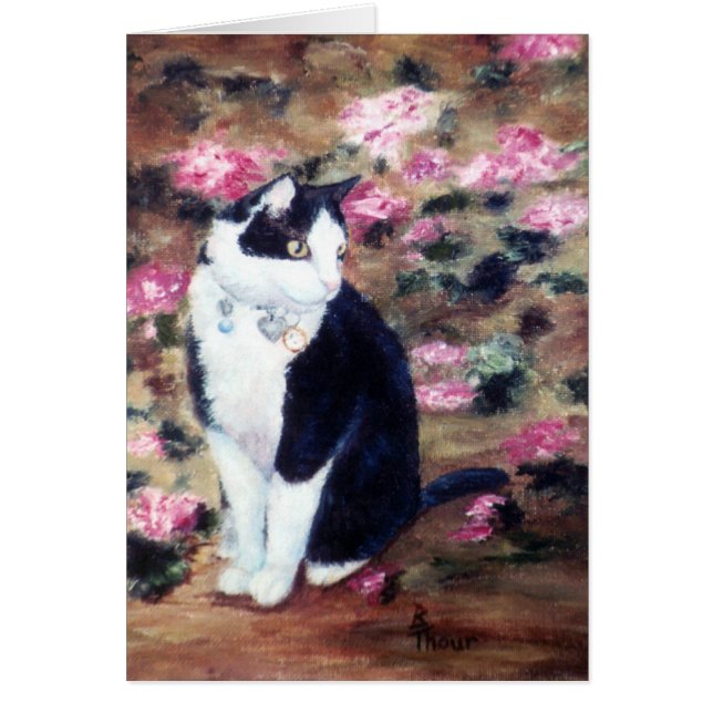 Kaboodles Kat Blankt kort (Framsidan)