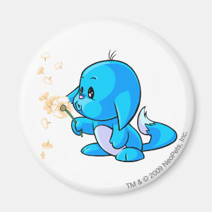 Kacheek blått magnet