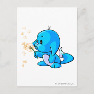 Kacheek Blue Vykort