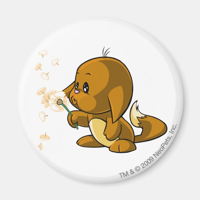 Kacheek Brown Magnet (Framsidan)