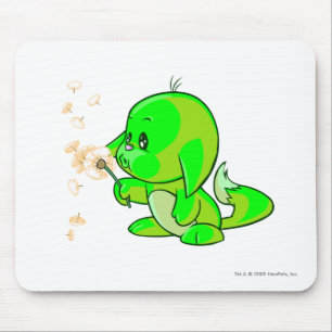Kacheek glöda musmatta
