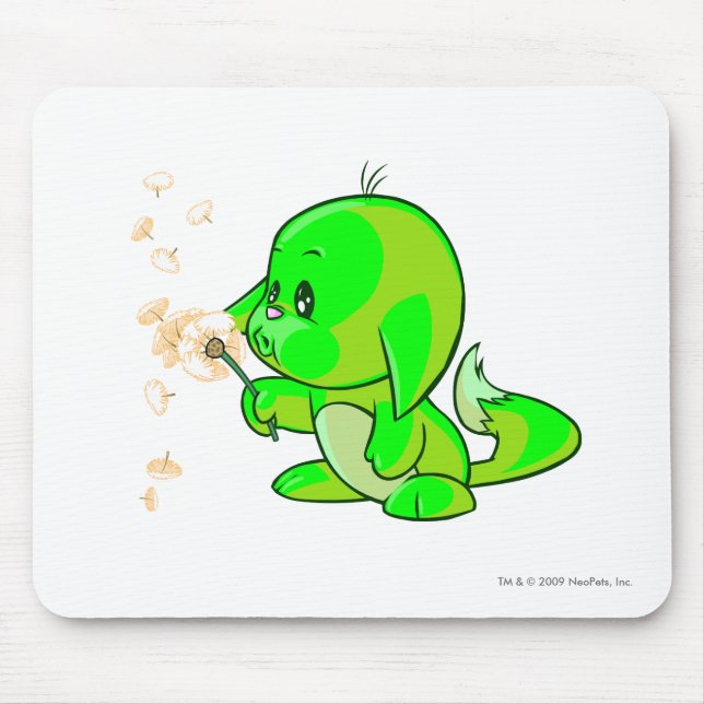 Kacheek glöda musmatta (Framsidan)
