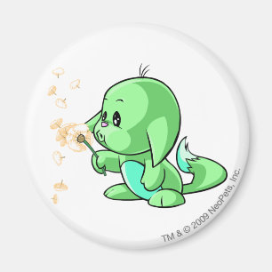 Kacheek grönt magnet