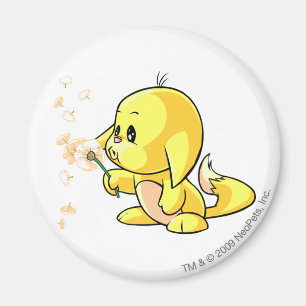 Kacheek gult magnet