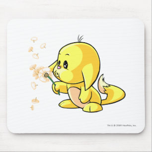Kacheek gult musmatta