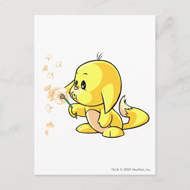 Kacheek Gult Vykort (Framsida)