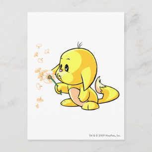 Kacheek Gult Vykort