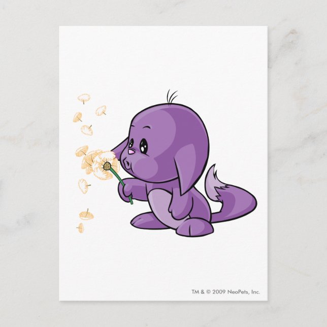 Kacheek Lila Vykort (Framsida)