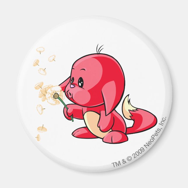 Kacheek Red Magnet (Framsidan)