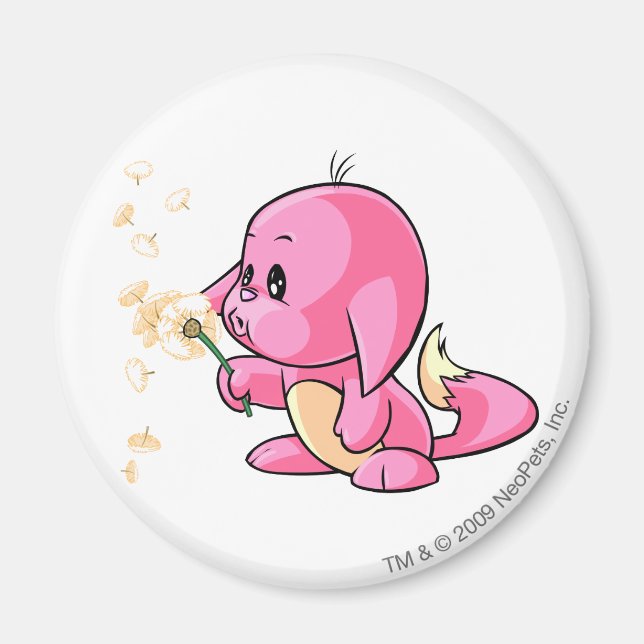 Kacheek Rosa Magnet (Framsidan)