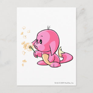 Kacheek Rosa Vykort