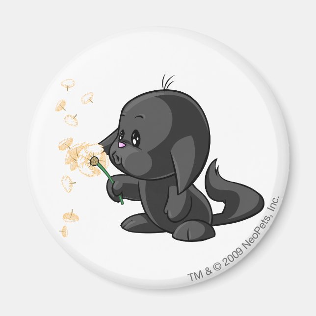 Kacheek Shadow Magnet (Framsidan)