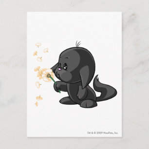 Kacheek Shadow Vykort