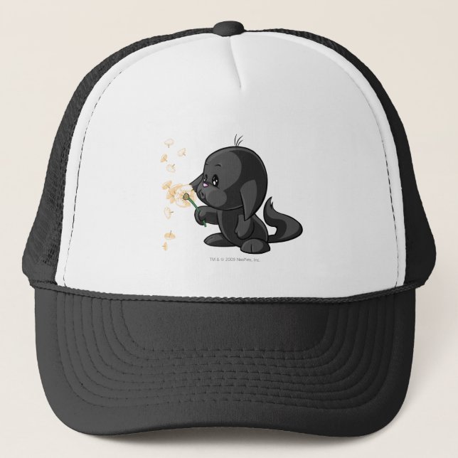 Kacheek skuggar truckerkeps (Framsida)