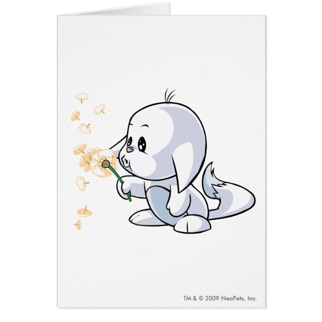 Kacheek vit hälsningskort (Framsidan)