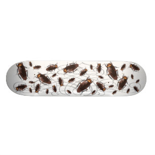 Kackerlacka Skateboard Bräda 21,5 Cm