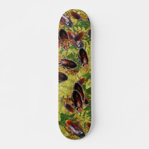 Kackerlackor Skateboard Bräda 19,5 Cm