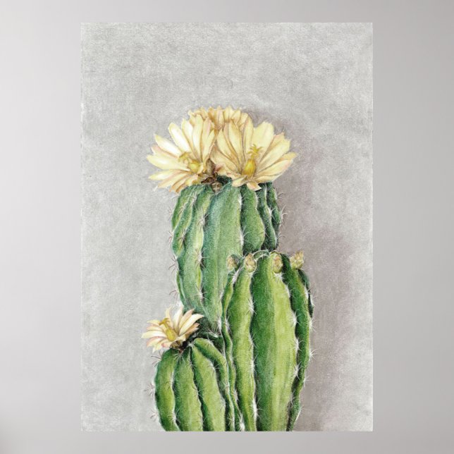 Kactus Flower Painting Poster (Framsidan)