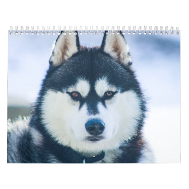 Kaeru Husky Calendar Kalender (Omslag)