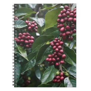 Kaffe Älskare Coffee Träd, Anteckningsbok