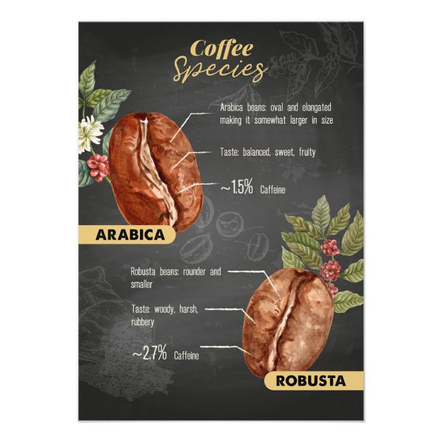 Kaffe Älskare, kaffearter Fototryck (Framsidan)