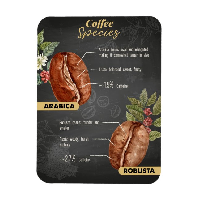 Kaffe Älskare, kaffearter Magnet (Vertikal)