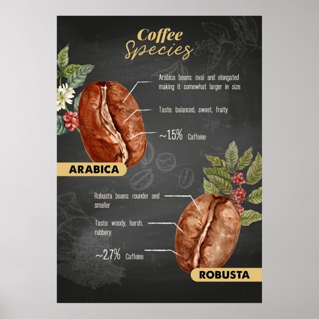 Kaffe Älskare, kaffearter Poster (Framsidan)