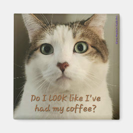 Kaffe Cat Magnet #2 - Shuri