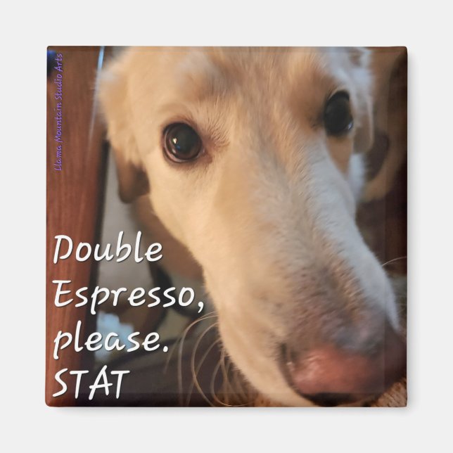 Kaffe Hund Magnet #1 - Buffy (Framsidan)