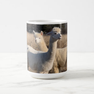 Kaffe Mugg - Alpacas Abby & Bailey