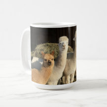 Kaffe Mugg - Alpacas på vintern Sol