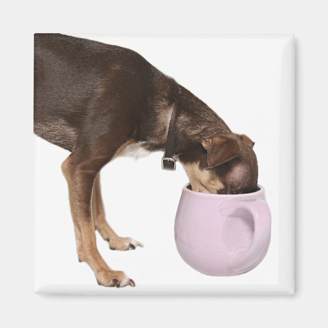 kaffebrytning magnet (Framsidan)