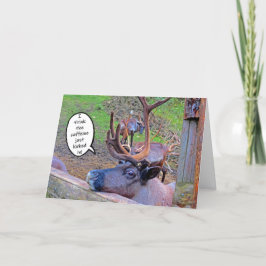 Kaffeingkort för renar kort