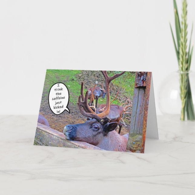 Kaffeingkort för renar kort (Framsida)