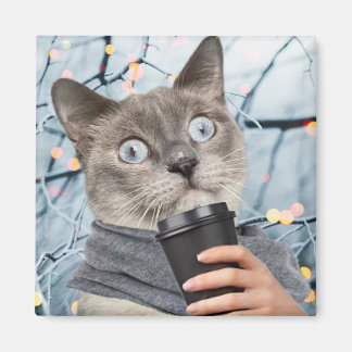 Kaffekat Magnet