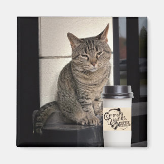 Kaffekat Magnet
