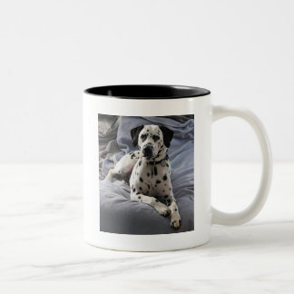Kaffemugg