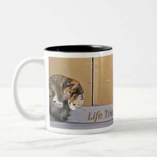 Kaffemugg