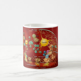 Kaffemugg - Coag kaskad