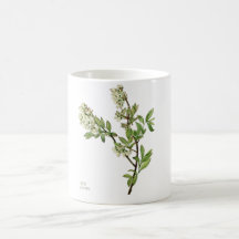Kaffemugg med blåbärsblomma