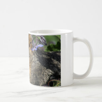 kaffemugg med ekorren
