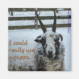 Kaffesfår, magnet nr 1 - Äkta