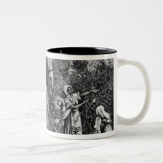 Kaffeskörd Två-Tonad Mugg (Höger)