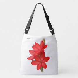Kaffir-lilja / flodlilja / Hesperantha Coccinea Tygkasse