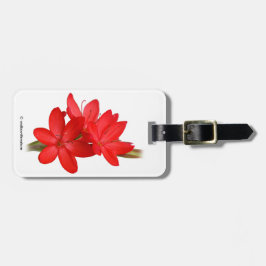 Kaffir Lily / River Lily / Hesperantha Coccinea Bagagebricka